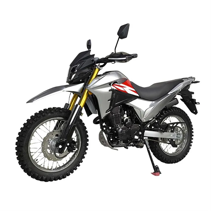 R-LD12 300cc Off Road Bike price